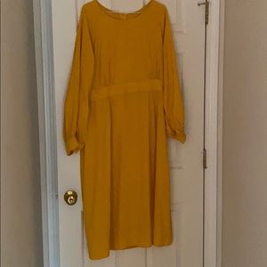 Women’s plus size gorgeous mustard LS dress sz XXL